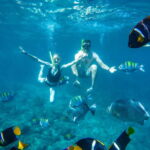 Cabo San Lucas: Snorkel Tour with Open Bar & Snacks - The Real Deal from Reviews