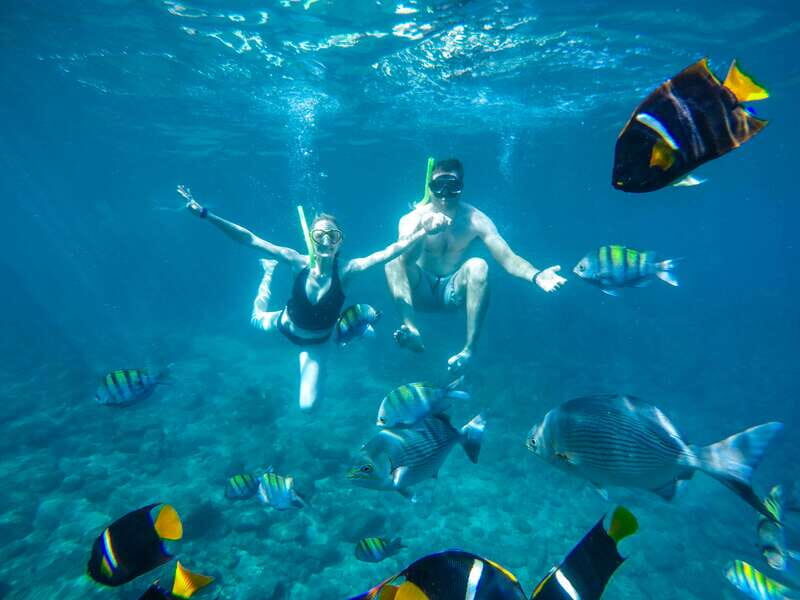 Cabo San Lucas: Snorkel Tour with Open Bar & Snacks - The Real Deal from Reviews