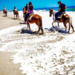 Cabo San Lucas: Thrilling ATV and Horseback Riding Combo - What to Expect from the Itinerary