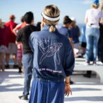 Cabo San Lucas: Whale Watching Breakfast Cruise - The Verdict on Value and Price