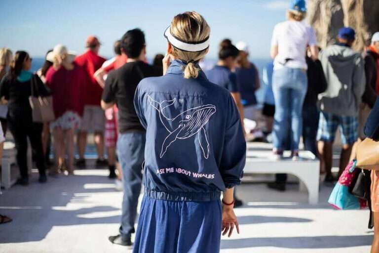 Cabo San Lucas: Whale Watching Breakfast Cruise - The Verdict on Value and Price