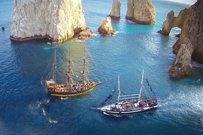 Cabo San Lucas Whale Watching Tour All Included - Who Is This Tour Best For?