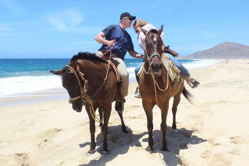 Cabo San Lucas: White Sand Horseback Adventure - Transportation and Group Size