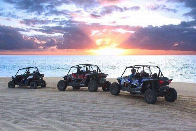 Cabo: Sunset Camel Ride and ATV Combo Adventure - How Does the Price Stack Up?