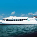 Cabo: Sunset Cruise with Dinner, Music & Open Bar - The Experience for Different Travelers