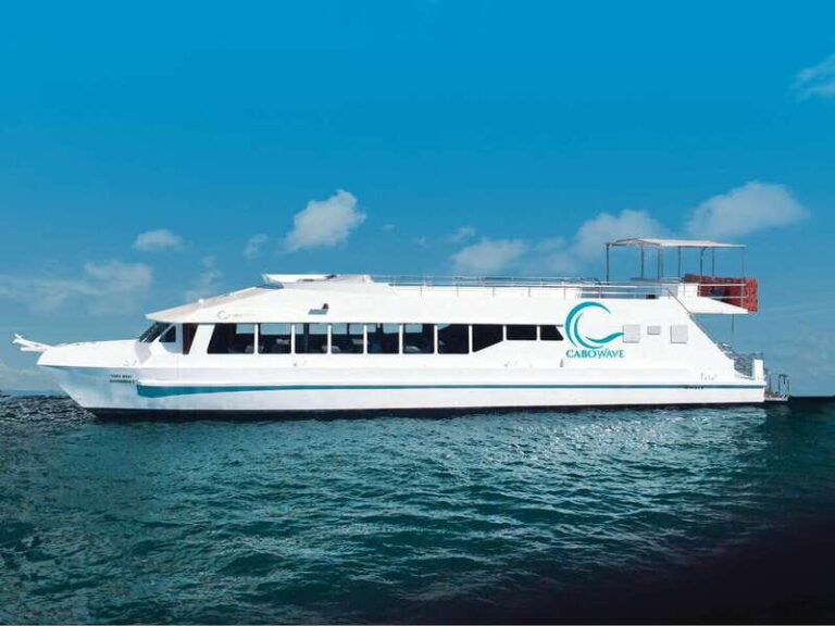 Cabo: Sunset Cruise with Dinner, Music & Open Bar - The Experience for Different Travelers