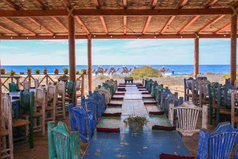 Cabo: Todo Santos Tour with Camel Ranch, Tequila and Lunch - Practical Details You Should Know