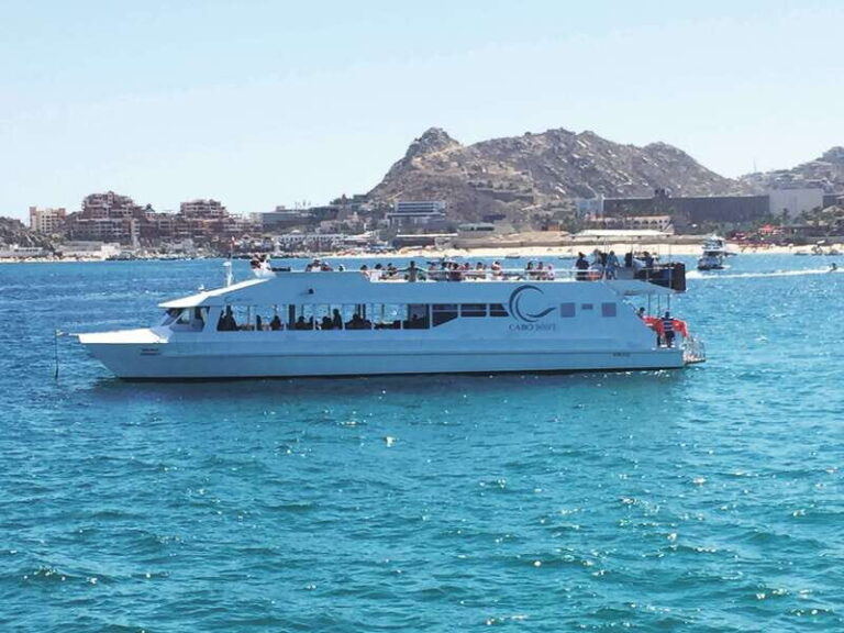 Cabos: Cabo Wave Cruise with Snorkeling, Lunch & Open Bar - Setting the Scene: What to Expect on the Cabo Wave Cruise