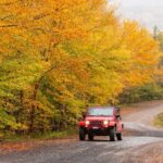 Cabot Trail Jeep Adventure - Cruise Excursion - What Travelers Are Saying