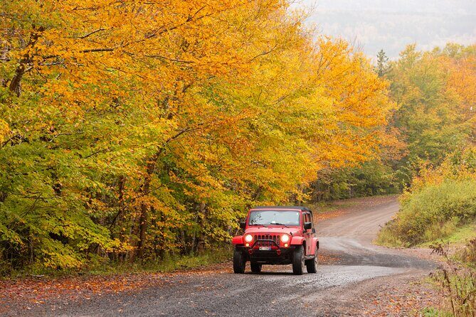 Cabot Trail Jeep Adventure - Cruise Excursion - What Travelers Are Saying