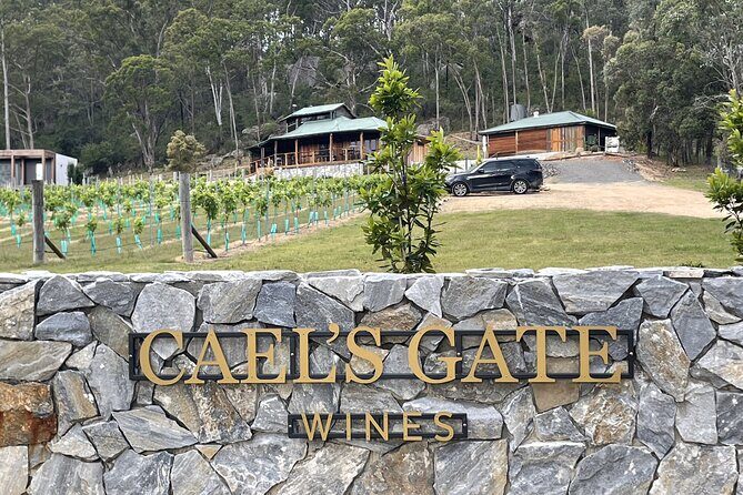 Cael's Gate Wine and Ploughmans Lunch in Hunter Valley - Who Will Love This Experience?