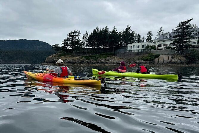 Cafes and Kayaks: Full Day Kayaking Adventure on Orcas Island - Final Thoughts