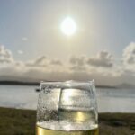 Cairns Airport to Port Douglas Shared Shuttle - Value and Cost Considerations