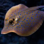 Cairns Aquarium by Twilight Tour - What Do Real Visitors Say?