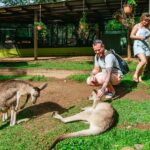 Cairns: Best of the Kuranda Rainforest Full-Day Tour & Lunch - The Sum Up