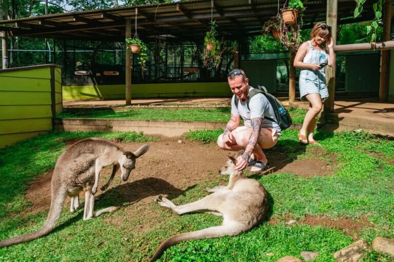 Cairns: Best of the Kuranda Rainforest Full-Day Tour & Lunch - The Sum Up