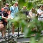 Cairns: Daintree Rainforest and Mossman Gorge Tour - The Itinerary Breakdown: What You’ll Do
