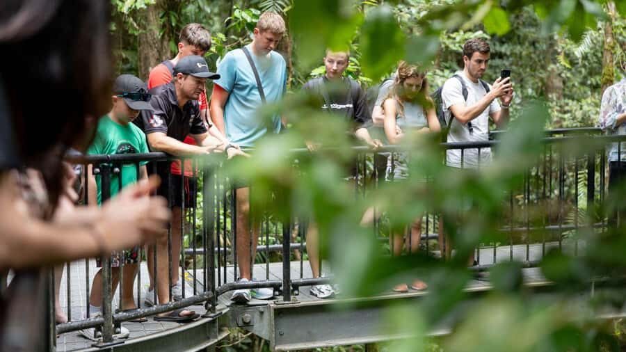 Cairns: Daintree Rainforest and Mossman Gorge Tour - The Itinerary Breakdown: What You’ll Do