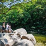 Cairns: Daintree Rainforest & Cape Tribulation Day Trip - The Value of the Experience