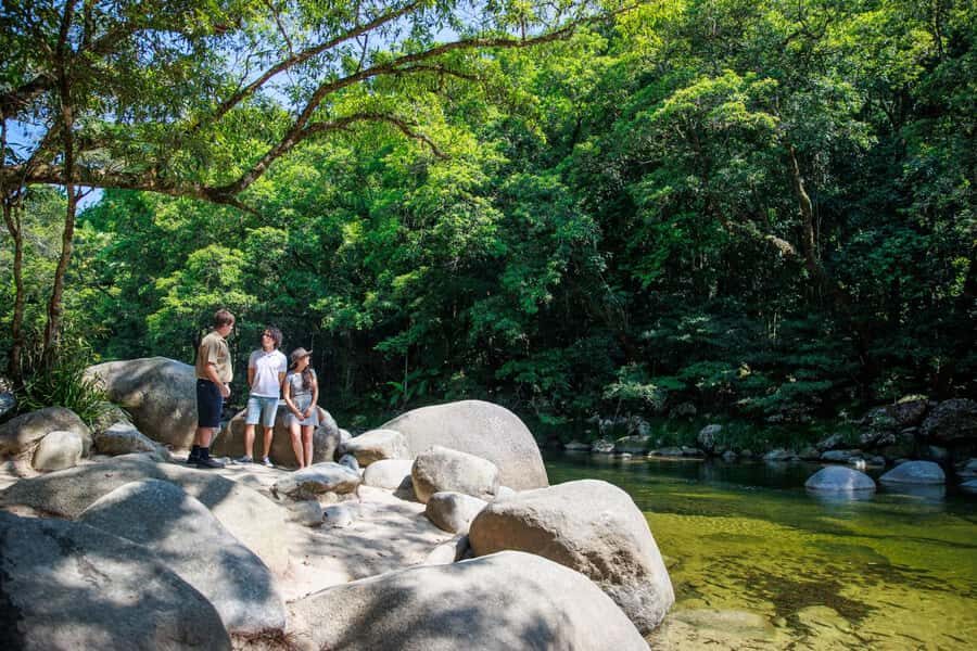 Cairns: Daintree Rainforest & Cape Tribulation Day Trip - The Value of the Experience