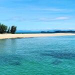Cairns: Explore Dunk Island Day Tour - The Value of the Experience