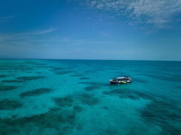 Cairns: Great Barrier Reef Half-Day Snorkelling Tour - What Makes This Tour Stand Out?