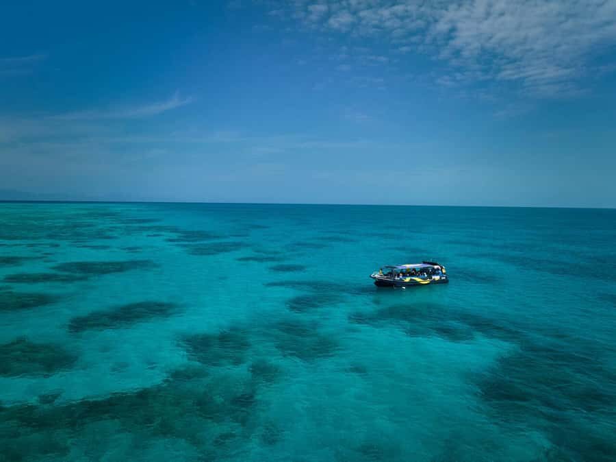 Cairns: Great Barrier Reef Half-Day Snorkelling Tour - What Makes This Tour Stand Out?