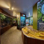 Cairns Koalas & Creatures at the Pier - Who Will Enjoy This Experience?