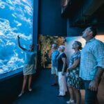 Cairns: Night at the Aquarium Guided Tour - The Itinerary Breakdown