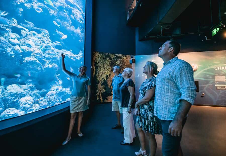 Cairns: Night at the Aquarium Guided Tour - The Itinerary Breakdown
