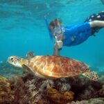 Cairns: Ocean Spirit Great Barrier Reef Full Day Tour - What Do People Love About This Tour?