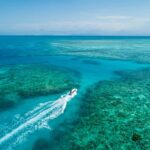 Cairns: Outer and Coral Cay Snorkel and Dive Cruise - Reaching the Reef: Wonder Wall and Upolu Cay