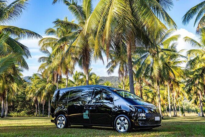 Cairns to Mission Beach ONE WAY Private Transfer 6 pax - The Experience: A Calm and Comfortable Ride