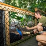 Cairns: Wildlife Habitat, Mossman Gorge, and Daintree Tour - Who Will Love This Tour?