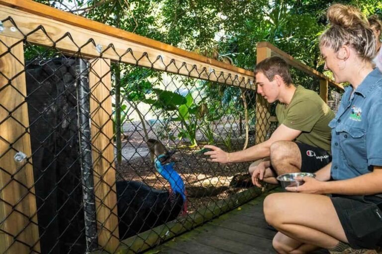 Cairns: Wildlife Habitat, Mossman Gorge, and Daintree Tour - Who Will Love This Tour?