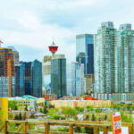 Calgary: 3-Hour Sightseeing Bus Tour - The Experience on the Vehicle and with the Guides