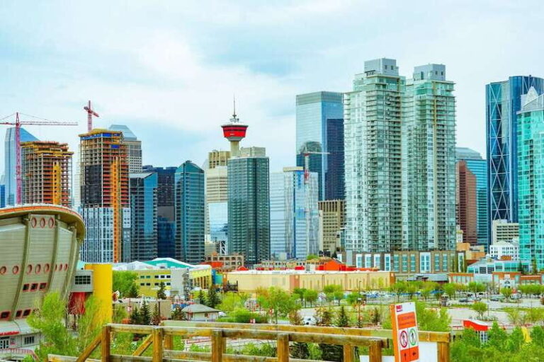 Calgary: 3-Hour Sightseeing Bus Tour - The Experience on the Vehicle and with the Guides