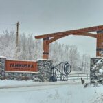 Calgary City Tour and Yamnuska Wolfdog Sanctuary Private Tour - Yamnuska Wolfdog Sanctuary: The Wildlife Highlight