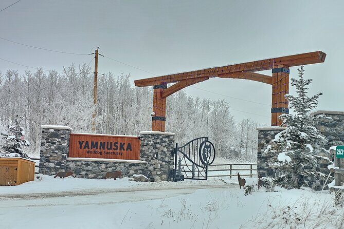 Calgary City Tour and Yamnuska Wolfdog Sanctuary Private Tour - Yamnuska Wolfdog Sanctuary: The Wildlife Highlight