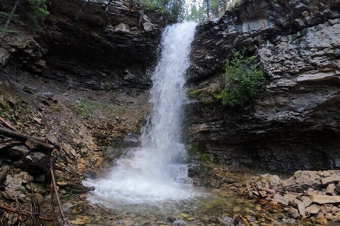 Calgary to the Rocky Mountains Private Day Tour - Who Would Love This Tour?