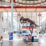 California Academy of Sciences General Admission Ticket - The Real Experience