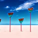 California Coastline Scenic Wildlife Photography Tour - The Itinerary Breakdown