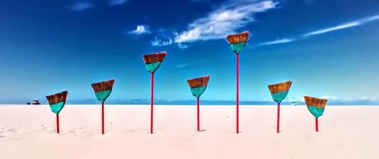 California Coastline Scenic Wildlife Photography Tour - The Itinerary Breakdown