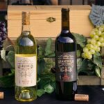 California Vs. Colorado Wine Tasting - Who Will Love This Experience?