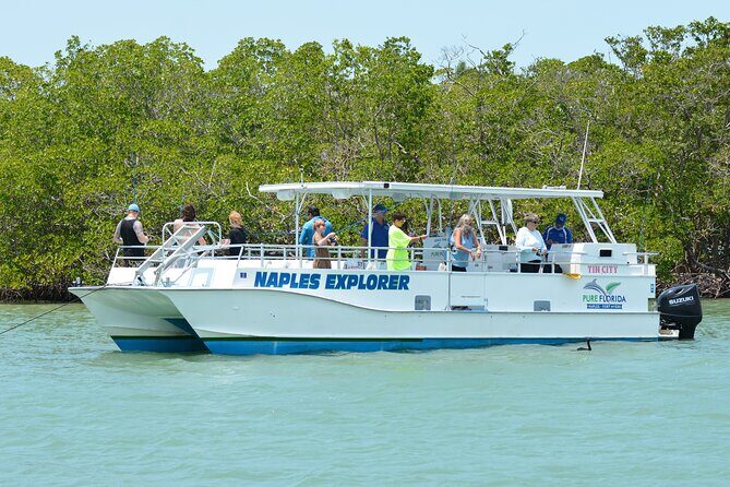 Calm Bay Fishing - Who Would Love This Experience?
