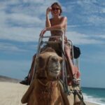 Camel Adventure on the Beach - Pricing and Value