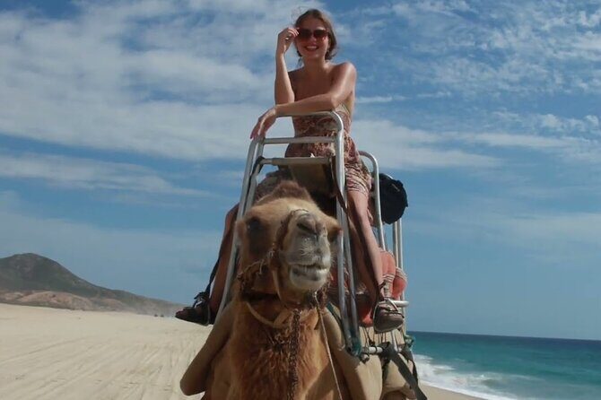 Camel Adventure on the Beach - Pricing and Value