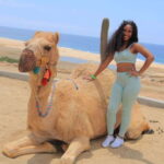 Camel Ride Beach and Desert Adventure. - Who Should Consider This Tour?