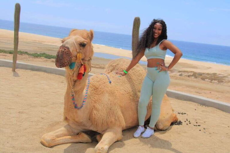 Camel Ride Beach and Desert Adventure. - Who Should Consider This Tour?