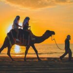 Camel Ride Experience in Los Cabos with Pick up and Lunch - Who Will Enjoy This Tour?